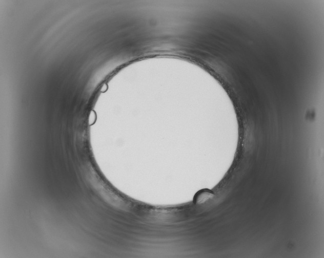X0000111521458200908251125