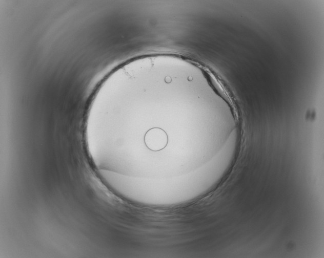 X0000111521460200908251125