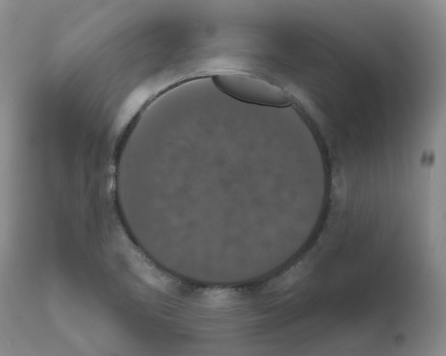 X0000111521461200908251125