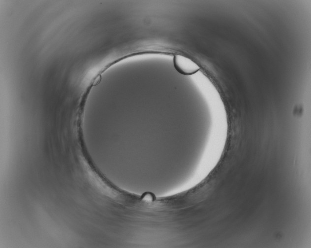X0000111521463200908251125