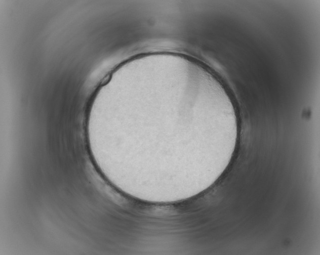 X0000111521464200908251125