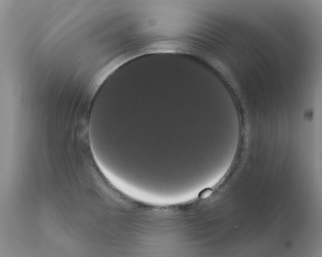 X0000111521465200908251125