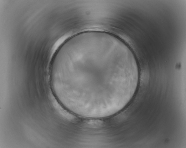 X0000111521466200908251125