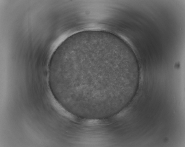 X0000111521467200908251125
