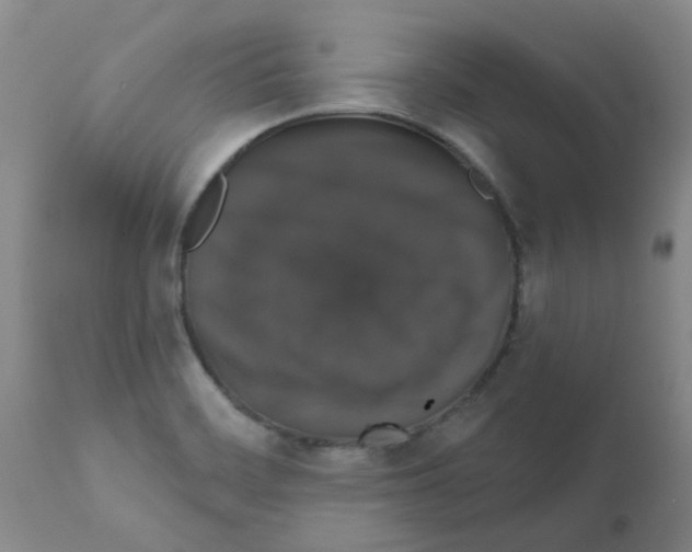 X0000111521468200908251125