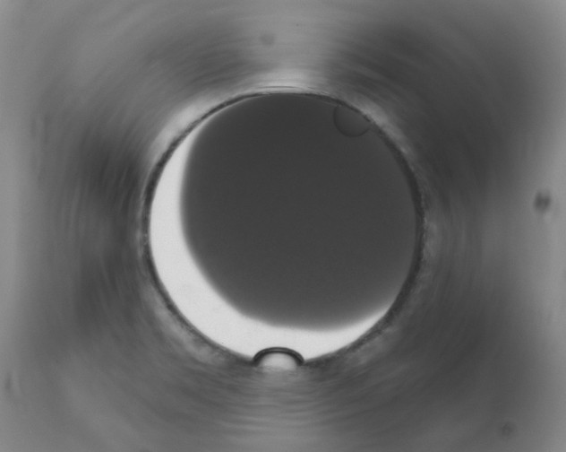 X0000111521469200908251125