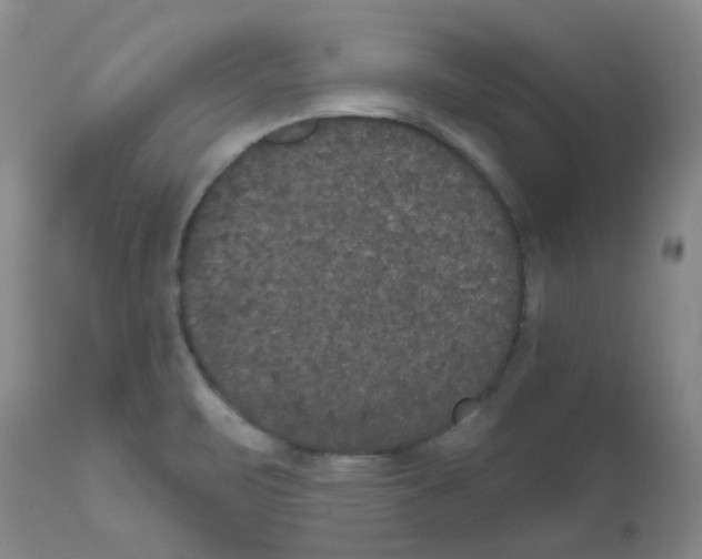 X0000111521471200908251125