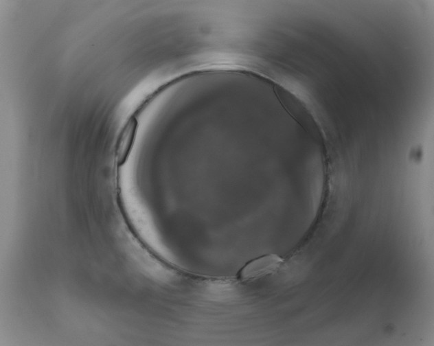 X0000111521472200908251125