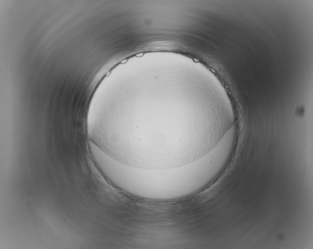 X0000111521473200908251125