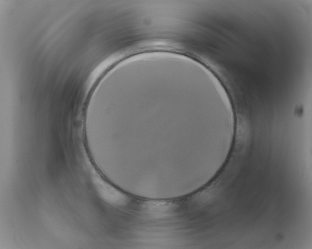 X0000111521474200908251125
