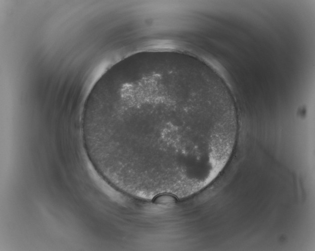 X0000111521475200908251125
