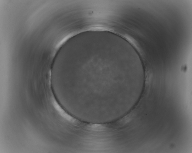 X0000111521476200908251125