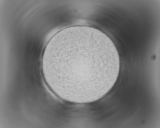 X0000111521479200908251125