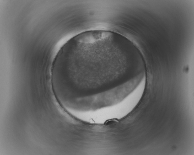 X0000111521480200908251125