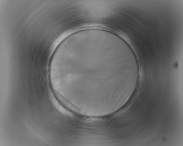 X0000111521482200908251125