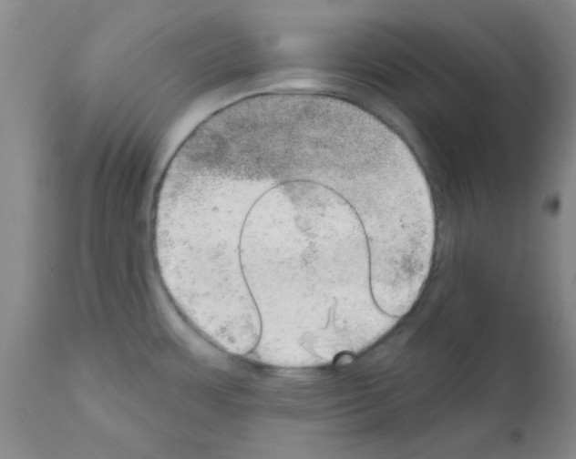 X0000111521483200908251125