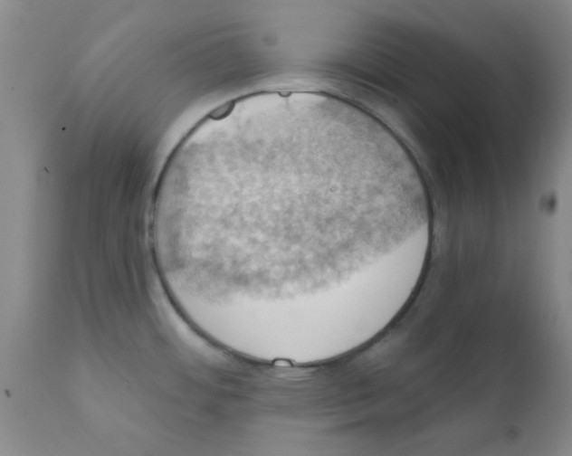 X0000111521484200908251125