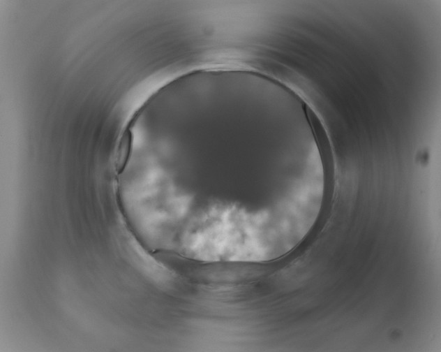 X0000111521485200908251125