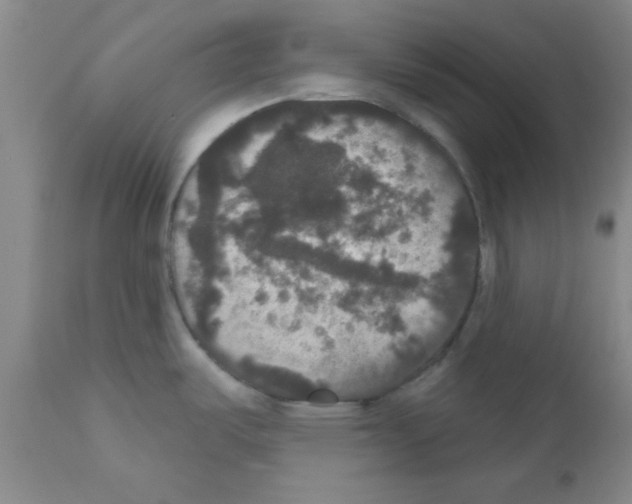X0000111521487200908251125