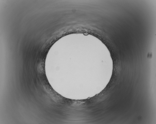 X0000111521490200908251124