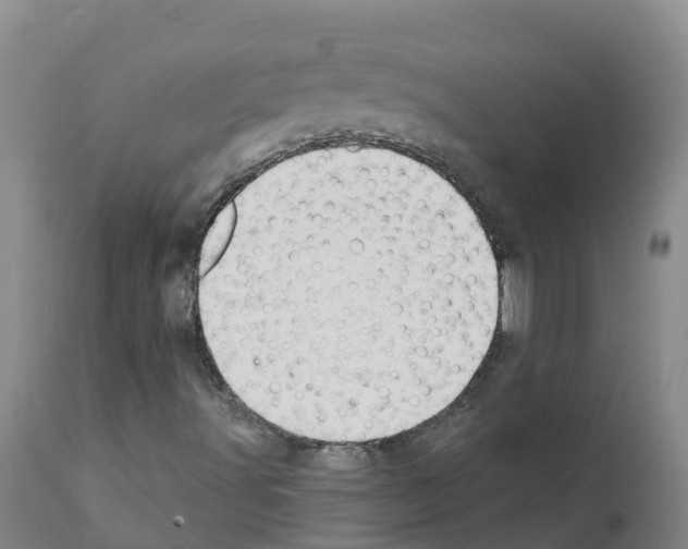 X0000111521491200908251124