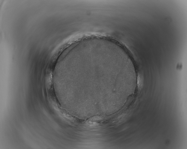 X0000111521492200908251124