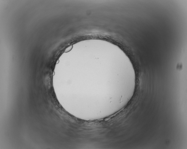 X0000111521493200908251124