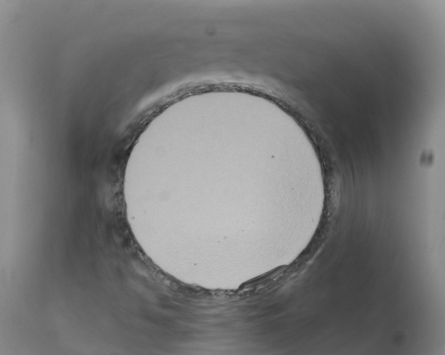X0000111521494200908251124
