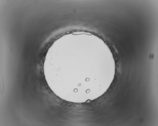X0000111521495200908251124