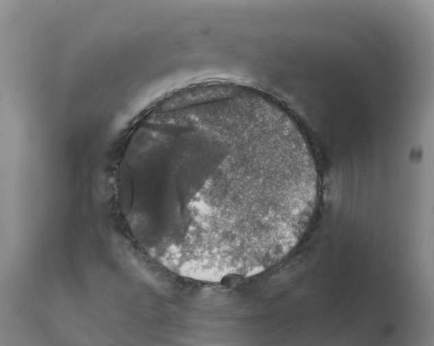 X0000111521496200908251124