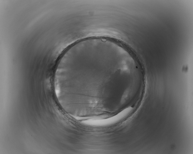 X0000111521497200908251124