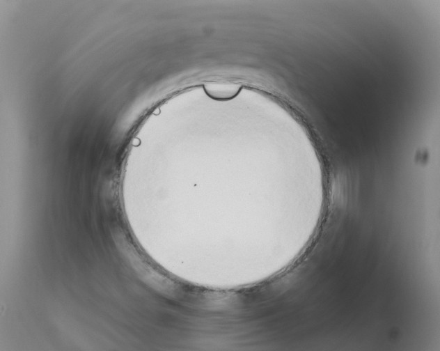 X0000111521498200908251124