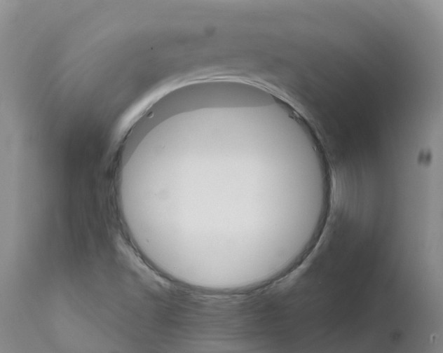 X0000111521502200908251124