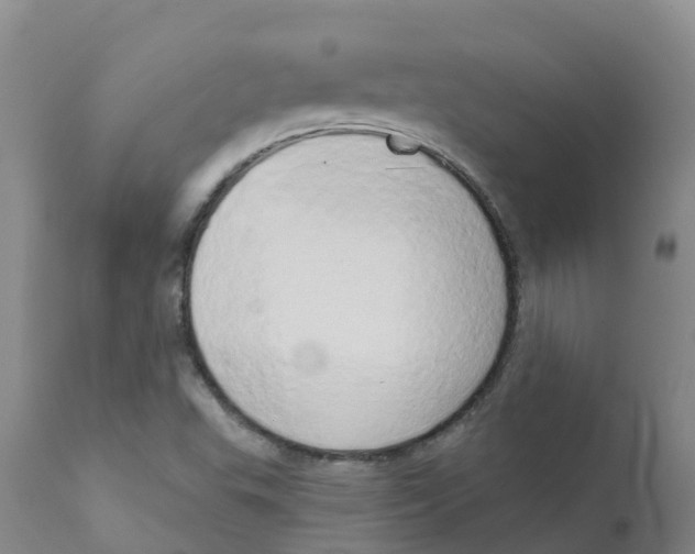 X0000111521503200908251124