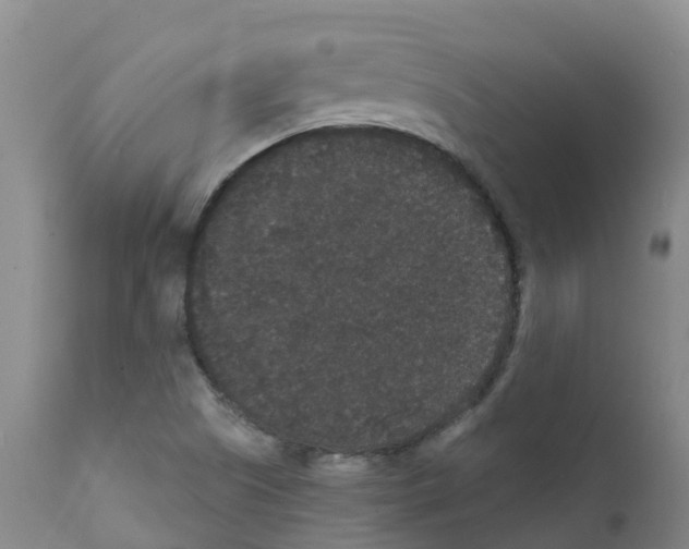 X0000111521505200908251124