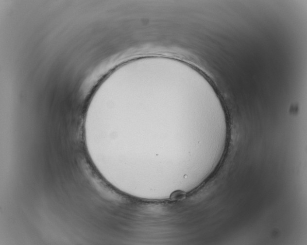X0000111521507200908251124