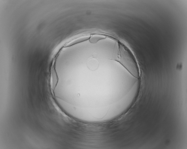 X0000111521508200908251124