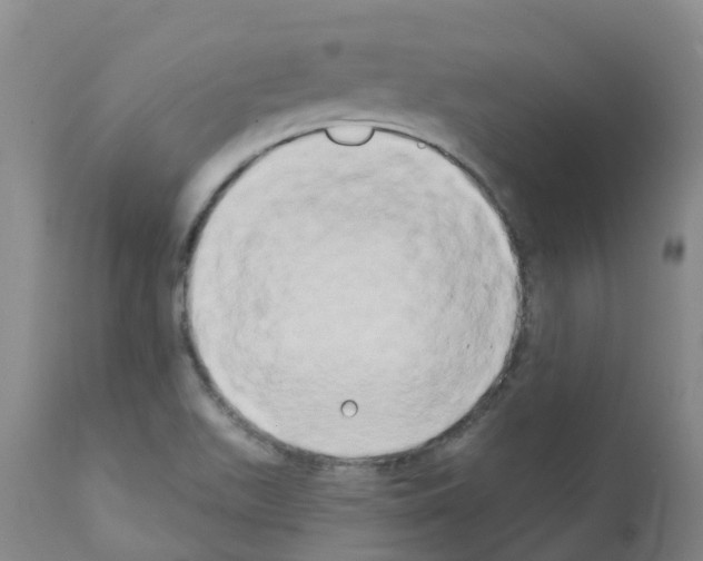X0000111521511200908251124