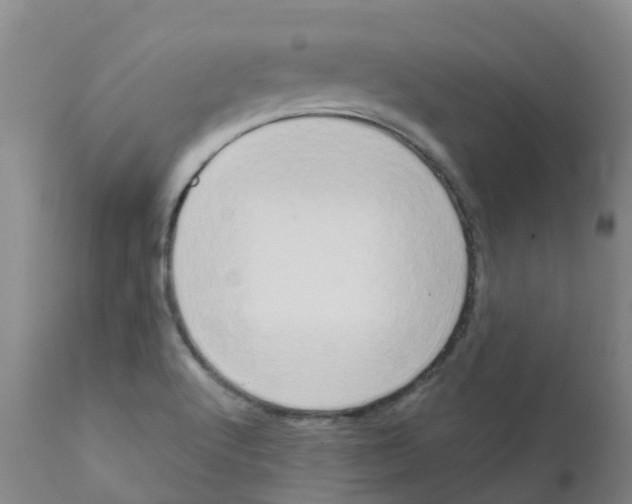 X0000111521512200908251124