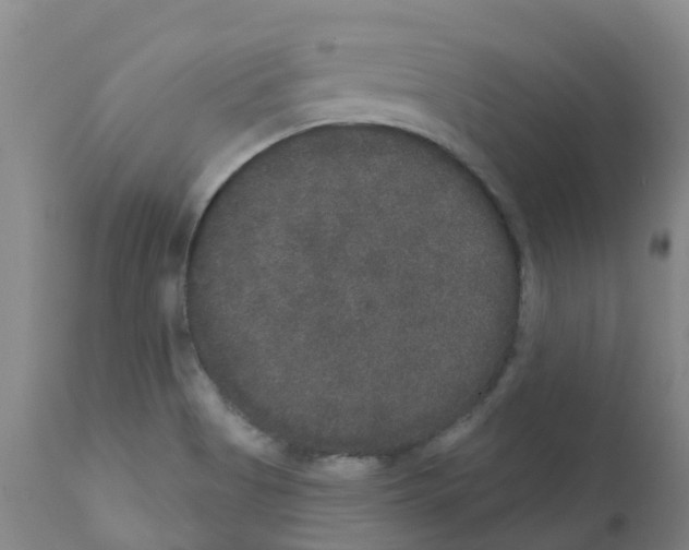 X0000111521513200908251124