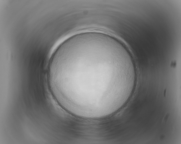 X0000111521514200908251124