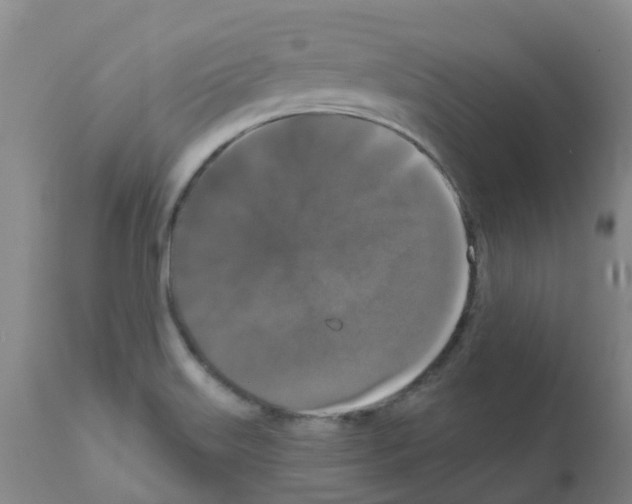 X0000111521515200908251124