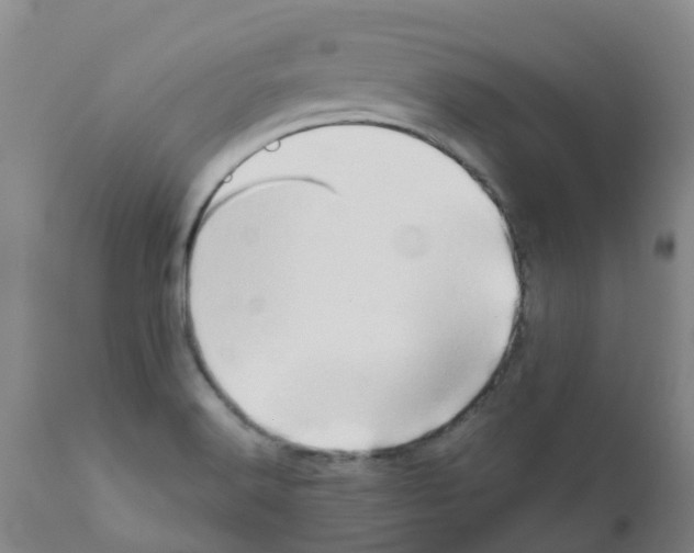 X0000111521516200908251124