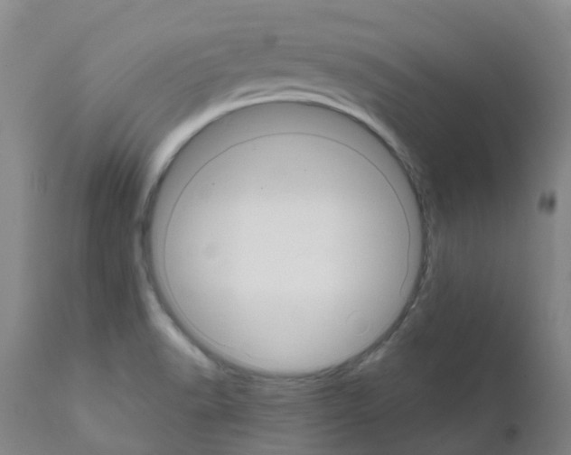 X0000111521518200908251124