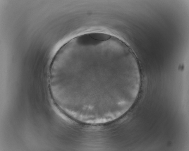X0000111521519200908251124