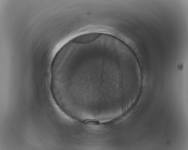 X0000111521520200908251124