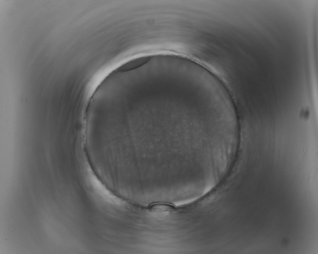 X0000111521524200908251124