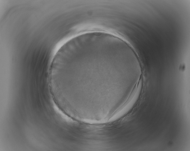 X0000111521527200908251124