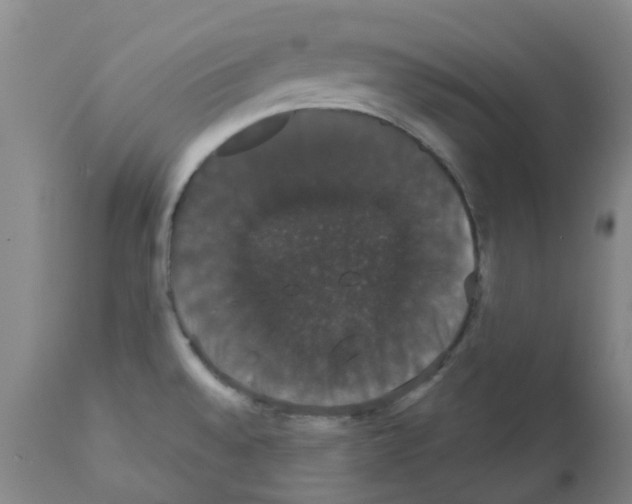 X0000111521528200908251124