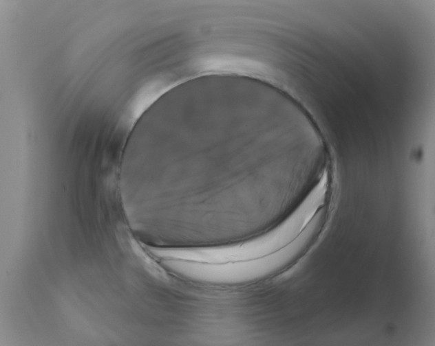 X0000111521529200908251124